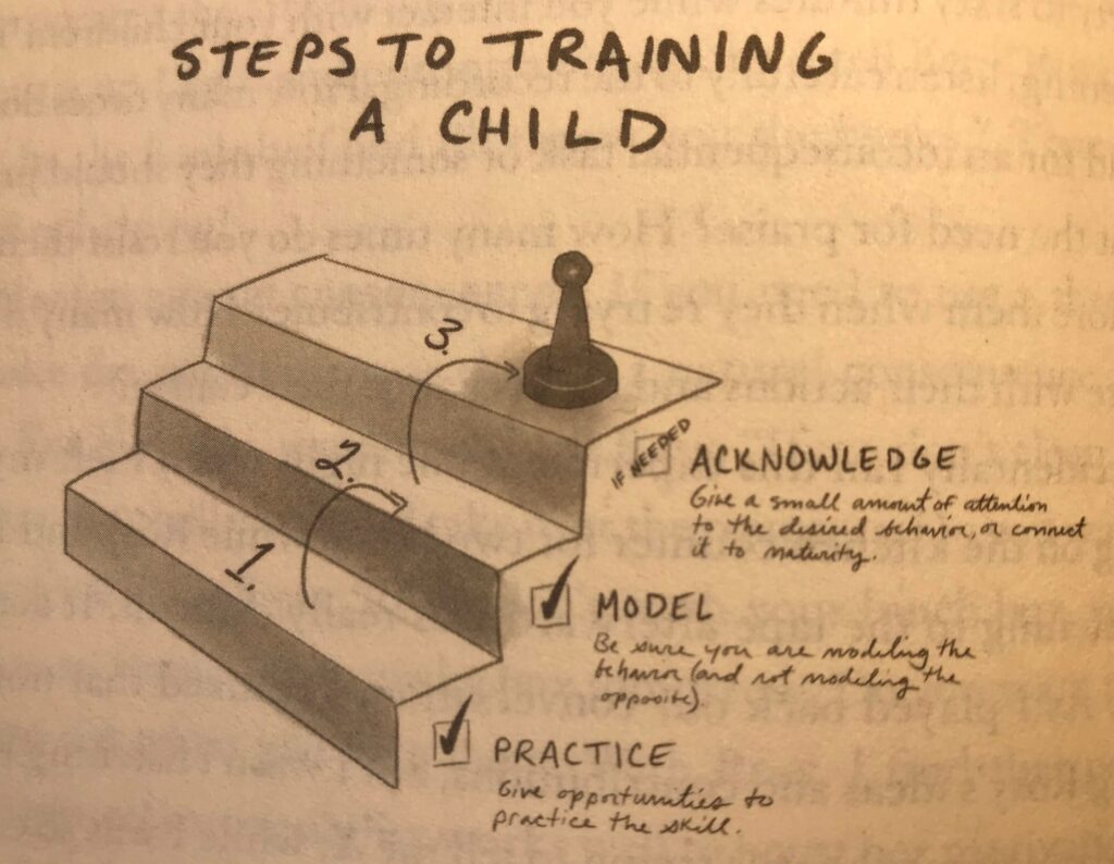 Steps to Train